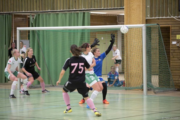 20150104 - Hammarby Damfotboll Haninge Open Cup