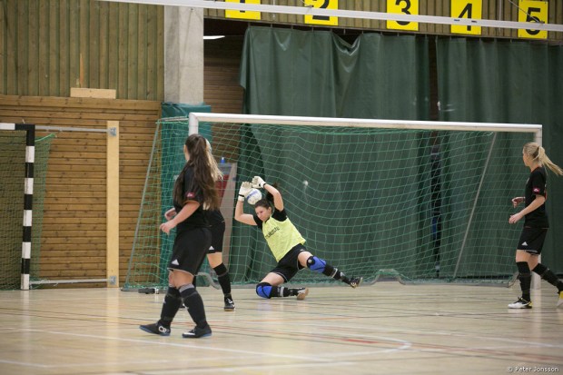 20150104 - Hammarby Damfotboll Haninge Open Cup