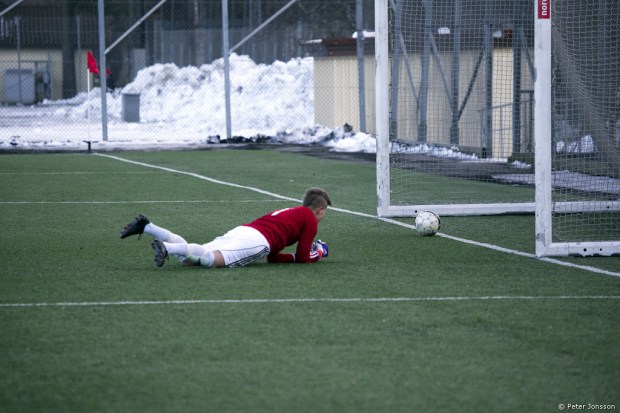20150214 - Hammarby Damfotboll vs Bollstanäs 3 - 0